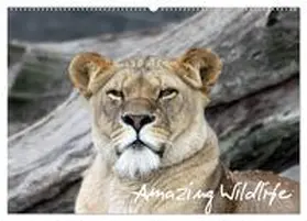 CALVENDO / Hebbel-Seeger |  Amazing Wildlife (Wandkalender 2025 DIN A2 quer), CALVENDO Monatskalender | Sonstiges |  Sack Fachmedien