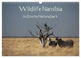 CALVENDO / Müller |  Wildlife Namibia (Wandkalender 2025 DIN A3 quer), CALVENDO Monatskalender | Sonstiges |  Sack Fachmedien