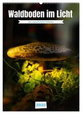 CALVENDO / Irmer |  Waldboden im Licht (Wandkalender 2025 DIN A2 hoch), CALVENDO Monatskalender | Sonstiges |  Sack Fachmedien