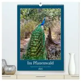CALVENDO / Kleemann |  Im Pfauenwald (hochwertiger Premium Wandkalender 2025 DIN A2 hoch), Kunstdruck in Hochglanz | Sonstiges |  Sack Fachmedien