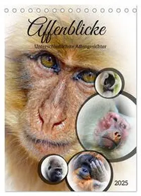 CALVENDO / Kleemann |  Affenblicke (Tischkalender 2025 DIN A5 hoch), CALVENDO Monatskalender | Sonstiges |  Sack Fachmedien