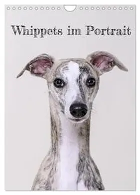 CALVENDO / Hofmann |  Whippets im Portrait (Wandkalender 2025 DIN A4 hoch), CALVENDO Monatskalender | Sonstiges |  Sack Fachmedien