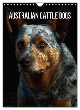 CALVENDO / Alberts |  Australian Cattle Dogs (Wandkalender 2025 DIN A4 hoch), CALVENDO Monatskalender | Sonstiges |  Sack Fachmedien
