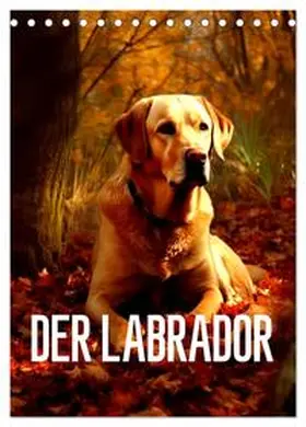 CALVENDO / Alberts |  Der Labrador (Tischkalender 2025 DIN A5 hoch), CALVENDO Monatskalender | Sonstiges |  Sack Fachmedien