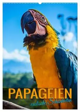 CALVENDO / Utz |  Papageien - exotische Schönheiten (Wandkalender 2025 DIN A2 hoch), CALVENDO Monatskalender | Sonstiges |  Sack Fachmedien