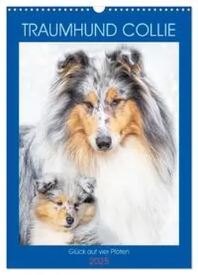 CALVENDO / Starick |  Traumhund Collie - Glück auf vier Pfoten (Wandkalender 2025 DIN A3 hoch), CALVENDO Monatskalender | Sonstiges |  Sack Fachmedien