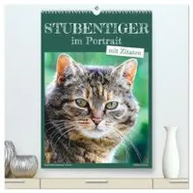 CALVENDO / Löwer |  Stubentiger im Portrait (hochwertiger Premium Wandkalender 2025 DIN A2 hoch), Kunstdruck in Hochglanz | Sonstiges |  Sack Fachmedien