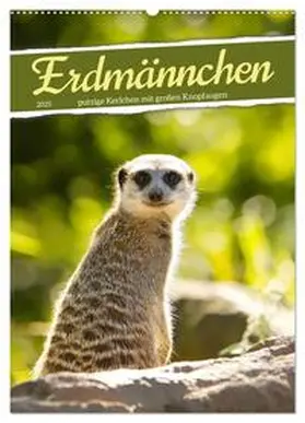CALVENDO / Löwer |  Erdmännchen, putzige Kerlchen mit großen Knopfaugen (Wandkalender 2025 DIN A2 hoch), CALVENDO Monatskalender | Sonstiges |  Sack Fachmedien