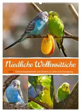 CALVENDO / Löwer | Niedliche Wellensittiche (Wandkalender 2025 DIN A2 hoch), CALVENDO Monatskalender | Sonstiges | 978-3-435-89024-8 | www.sack.de