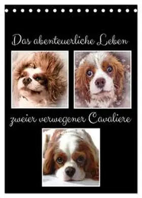 CALVENDO / Ola Feix |  Das abenteuerliche Leben zweier verwegener Cavaliere (Tischkalender 2025 DIN A5 hoch), CALVENDO Monatskalender | Sonstiges |  Sack Fachmedien