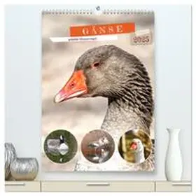 CALVENDO / Löwer |  Gänse, geliebte Wasservögel (hochwertiger Premium Wandkalender 2025 DIN A2 hoch), Kunstdruck in Hochglanz | Sonstiges |  Sack Fachmedien