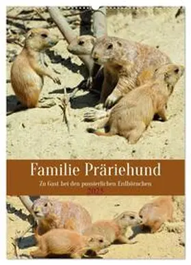 CALVENDO / Kleemann |  Familie Präriehund (Wandkalender 2025 DIN A2 hoch), CALVENDO Monatskalender | Sonstiges |  Sack Fachmedien