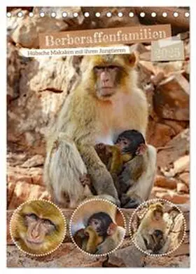 CALVENDO / Kleemann |  Berberaffenfamilien (Tischkalender 2025 DIN A5 hoch), CALVENDO Monatskalender | Sonstiges |  Sack Fachmedien