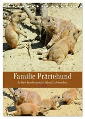 CALVENDO / Kleemann |  Familie Präriehund (Tischkalender 2025 DIN A5 hoch), CALVENDO Monatskalender | Sonstiges |  Sack Fachmedien