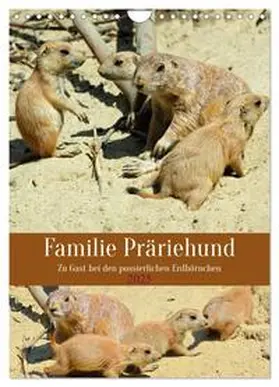 CALVENDO / Kleemann |  Familie Präriehund (Wandkalender 2025 DIN A4 hoch), CALVENDO Monatskalender | Sonstiges |  Sack Fachmedien