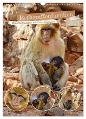 CALVENDO / Kleemann |  Berberaffenfamilien (Wandkalender 2025 DIN A3 hoch), CALVENDO Monatskalender | Sonstiges |  Sack Fachmedien