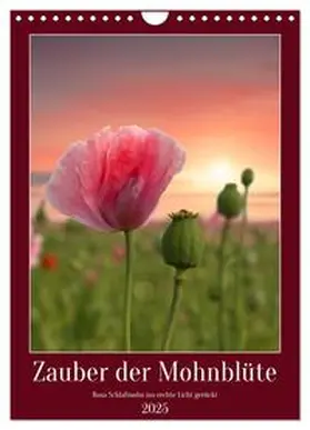 CALVENDO / Löwer | Zauber der Mohnblüte (Wandkalender 2025 DIN A4 hoch), CALVENDO Monatskalender | Sonstiges | 978-3-435-90023-7 | www.sack.de