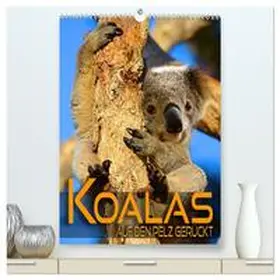 CALVENDO / Utz |  Koalas auf den Pelz gerückt (hochwertiger Premium Wandkalender 2025 DIN A2 hoch), Kunstdruck in Hochglanz | Sonstiges |  Sack Fachmedien