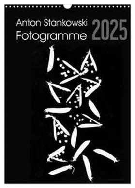 CALVENDO / Stankowski |  Anton Stankowski Fotogramme (Wandkalender 2025 DIN A3 hoch), CALVENDO Monatskalender | Sonstiges |  Sack Fachmedien