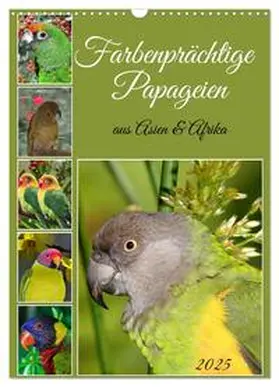 CALVENDO / Kleemann |  Farbenprächtige Papageien aus Asien und Afrika (Wandkalender 2025 DIN A3 hoch), CALVENDO Monatskalender | Sonstiges |  Sack Fachmedien