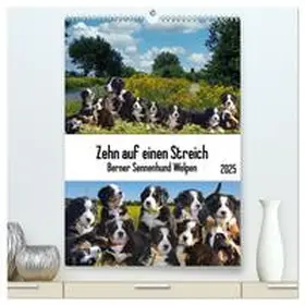 CALVENDO / Kleemann |  Zehn auf einen Streich (hochwertiger Premium Wandkalender 2025 DIN A2 hoch), Kunstdruck in Hochglanz | Sonstiges |  Sack Fachmedien