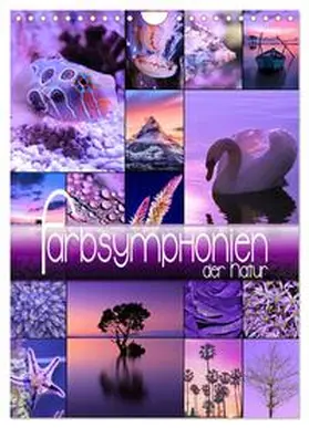CALVENDO / Utz |  Farbsymphonien der Natur (Wandkalender 2025 DIN A4 hoch), CALVENDO Monatskalender | Sonstiges |  Sack Fachmedien