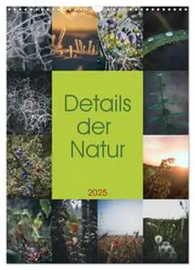 CALVENDO / Brand |  Details der Natur (Wandkalender 2025 DIN A3 hoch), CALVENDO Monatskalender | Sonstiges |  Sack Fachmedien