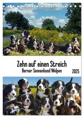 CALVENDO / Kleemann |  Zehn auf einen Streich (Tischkalender 2025 DIN A5 hoch), CALVENDO Monatskalender | Sonstiges |  Sack Fachmedien
