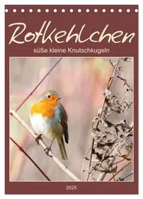 CALVENDO / Löwer |  Rotkehlchen, süße kleine Knutschkugeln (Tischkalender 2025 DIN A5 hoch), CALVENDO Monatskalender | Sonstiges |  Sack Fachmedien