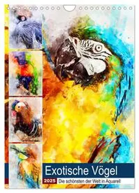 CALVENDO / Frost |  Exotische Vögel - Die Schönsten der Welt in Aquarell (Wandkalender 2025 DIN A4 hoch), CALVENDO Monatskalender | Sonstiges |  Sack Fachmedien