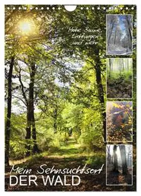 CALVENDO / Löwer |  Mein Sehnsuchtsort, der Wald (Wandkalender 2025 DIN A4 hoch), CALVENDO Monatskalender | Sonstiges |  Sack Fachmedien