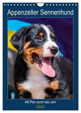 CALVENDO / Starick | Appenzeller Sennenhund - Mit Plan durch das Jahr (Wandkalender 2025 DIN A4 hoch), CALVENDO Monatskalender | Sonstiges | 978-3-435-93693-9 | www.sack.de