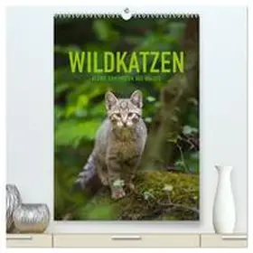 CALVENDO / Krutz |  Wildkatzen - Kleine Samtpfoten des Waldes (hochwertiger Premium Wandkalender 2025 DIN A2 hoch), Kunstdruck in Hochglanz | Sonstiges |  Sack Fachmedien