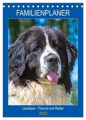 CALVENDO / Starick |  Familienplaner Landseer - Freund und Retter (Tischkalender 2025 DIN A5 hoch), CALVENDO Monatskalender | Sonstiges |  Sack Fachmedien