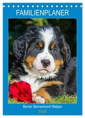 CALVENDO / Starick |  Familienplaner Berner Sennenhund Welpen (Tischkalender 2025 DIN A5 hoch), CALVENDO Monatskalender | Sonstiges |  Sack Fachmedien