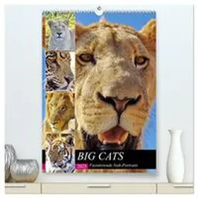 CALVENDO / Fraatz |  BIG CATS Fazinierende Nah-Portraits (hochwertiger Premium Wandkalender 2025 DIN A2 hoch), Kunstdruck in Hochglanz | Sonstiges |  Sack Fachmedien
