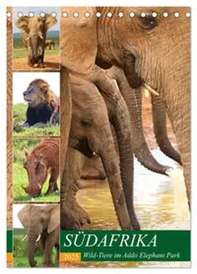 CALVENDO / Fraatz |  SÜDAFRIKA Wild-Tiere im Addo Elephant Park (Tischkalender 2025 DIN A5 hoch), CALVENDO Monatskalender | Sonstiges |  Sack Fachmedien