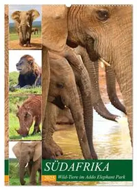 CALVENDO / Fraatz |  SÜDAFRIKA Wild-Tiere im Addo Elephant Park (Wandkalender 2025 DIN A2 hoch), CALVENDO Monatskalender | Sonstiges |  Sack Fachmedien