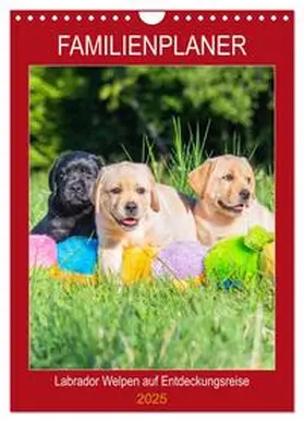 CALVENDO / Starick |  Familienplaner - Labrador Welpen entdecken die Welt (Wandkalender 2025 DIN A4 hoch), CALVENDO Monatskalender | Sonstiges |  Sack Fachmedien