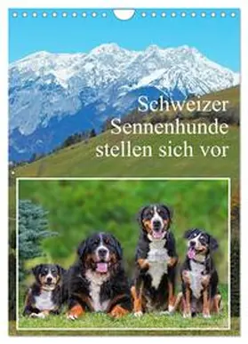 CALVENDO / Starick |  Schweizer Sennenhunde stellen sich vor (Wandkalender 2025 DIN A4 hoch), CALVENDO Monatskalender | Sonstiges |  Sack Fachmedien