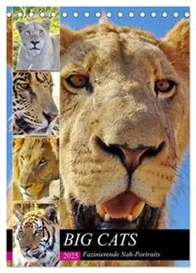 CALVENDO / Fraatz |  BIG CATS Fazinierende Nah-Portraits (Tischkalender 2025 DIN A5 hoch), CALVENDO Monatskalender | Sonstiges |  Sack Fachmedien