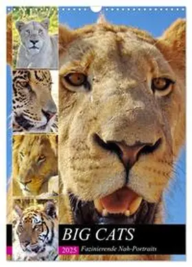 CALVENDO / Fraatz |  BIG CATS Fazinierende Nah-Portraits (Wandkalender 2025 DIN A3 hoch), CALVENDO Monatskalender | Sonstiges |  Sack Fachmedien