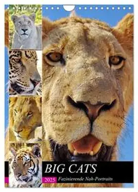 CALVENDO / Fraatz |  BIG CATS Fazinierende Nah-Portraits (Wandkalender 2025 DIN A4 hoch), CALVENDO Monatskalender | Sonstiges |  Sack Fachmedien
