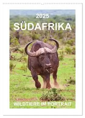 CALVENDO / Fraatz |  SÜDAFRIKA - WILDTIERE IM PORTRAIT (Wandkalender 2025 DIN A2 hoch), CALVENDO Monatskalender | Sonstiges |  Sack Fachmedien