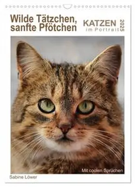 CALVENDO / Löwer |  Wilde Tätzchen, sanfte Pfötchen (Wandkalender 2025 DIN A3 hoch), CALVENDO Monatskalender | Sonstiges |  Sack Fachmedien