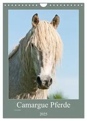 CALVENDO / Bölts |  Camargue Pferde - weiße Mähnen (Wandkalender 2025 DIN A4 hoch), CALVENDO Monatskalender | Sonstiges |  Sack Fachmedien