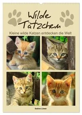 CALVENDO / Löwer |  Wilde Tätzchen, kleine wilde Katzen entdecken die Welt (Wandkalender 2025 DIN A2 hoch), CALVENDO Monatskalender | Sonstiges |  Sack Fachmedien