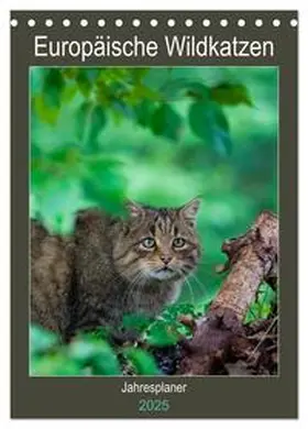 CALVENDO / Webeler |  Europäische Wildkatzen - Jahresplaner (Tischkalender 2025 DIN A5 hoch), CALVENDO Monatskalender | Sonstiges |  Sack Fachmedien