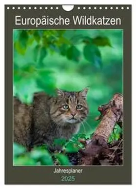 CALVENDO / Webeler |  Europäische Wildkatzen - Jahresplaner (Wandkalender 2025 DIN A4 hoch), CALVENDO Monatskalender | Sonstiges |  Sack Fachmedien