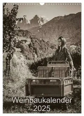 CALVENDO / Zippl |  Weinbaukalender 2025 (Wandkalender 2025 DIN A3 hoch), CALVENDO Monatskalender | Sonstiges |  Sack Fachmedien